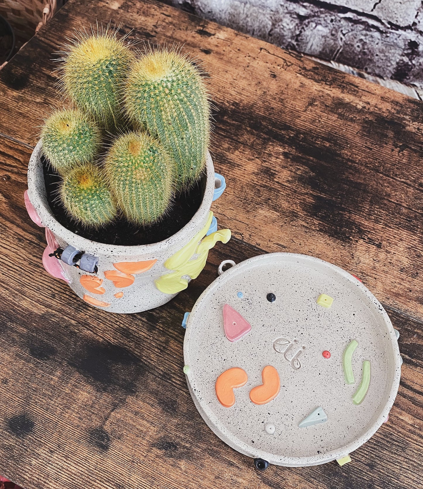 Maceta individual Claymbers
