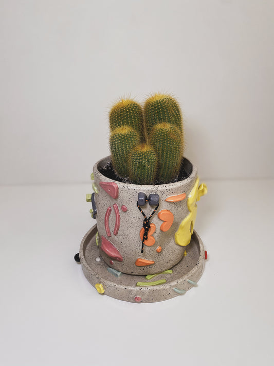 Maceta individual Claymbers