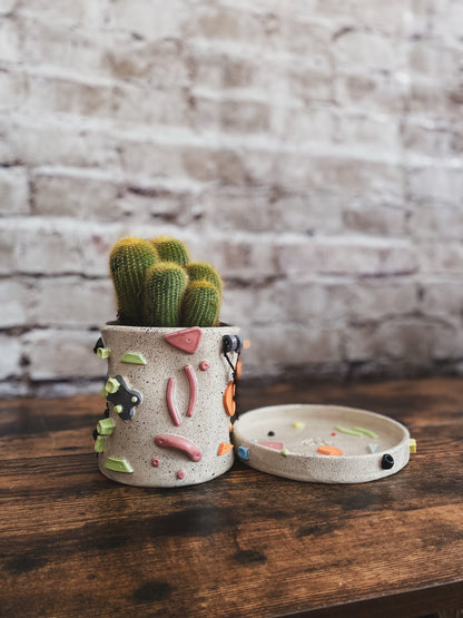 Maceta individual Claymbers