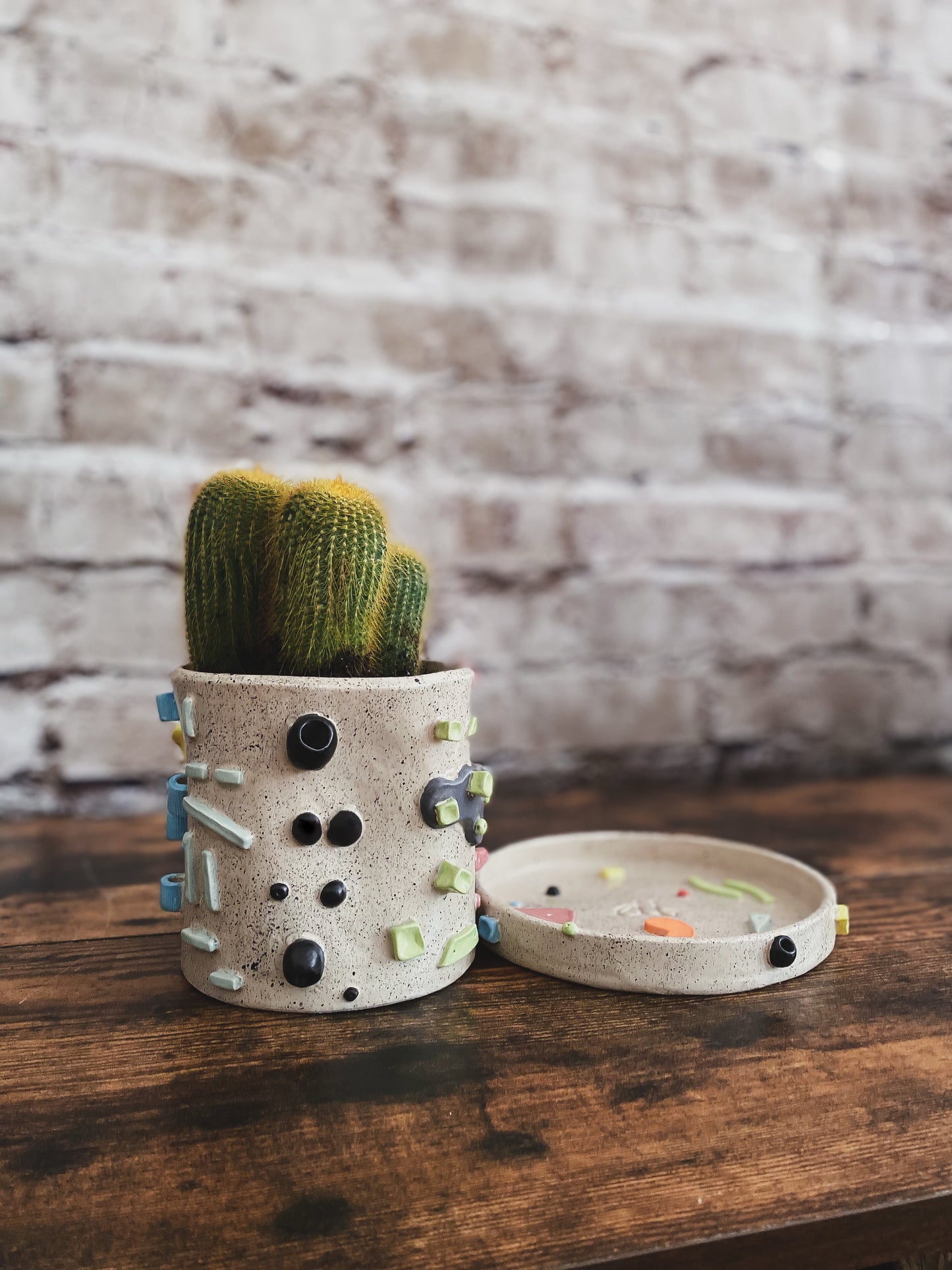 Maceta individual Claymbers