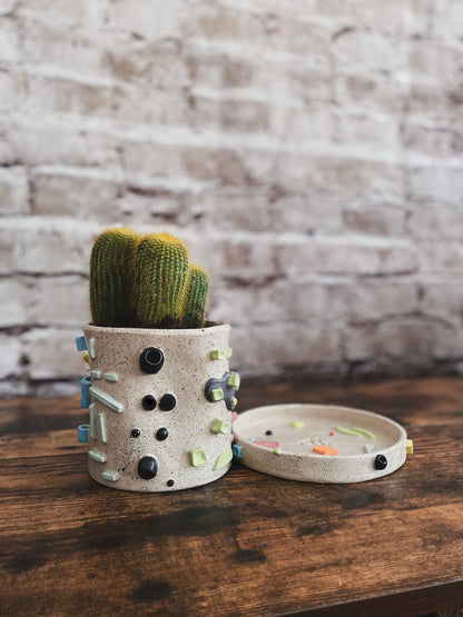 Maceta individual Claymbers
