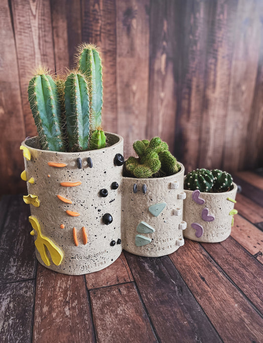 Maceta Triple Claymbers